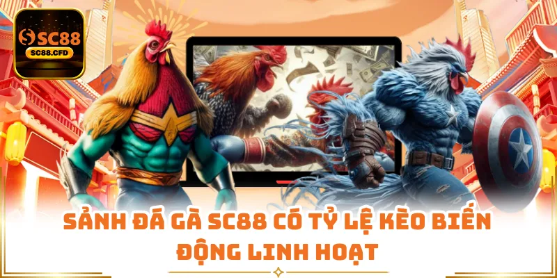 Sảnh đá gà SC88 có tỷ lệ kèo biến động linh hoạt